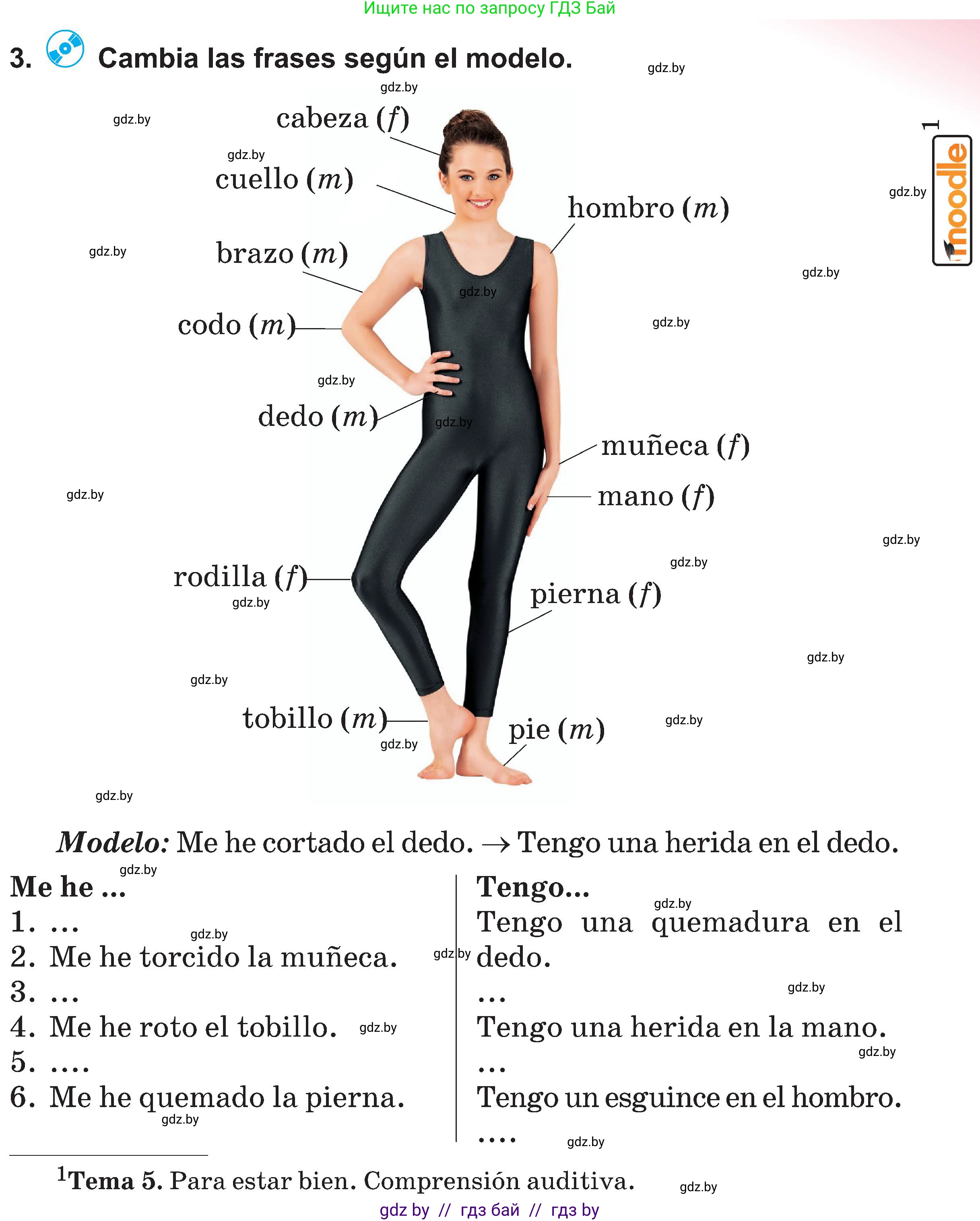Испанский язык, 5 класс Учебник, авторы: Цыбулева Татьяна Эдуардовна, Пушкина Ольга Александровна, издательство Вышэйшая школа, Минск, 2017, оранжевого цвета, страница 71, номер 3, Условие