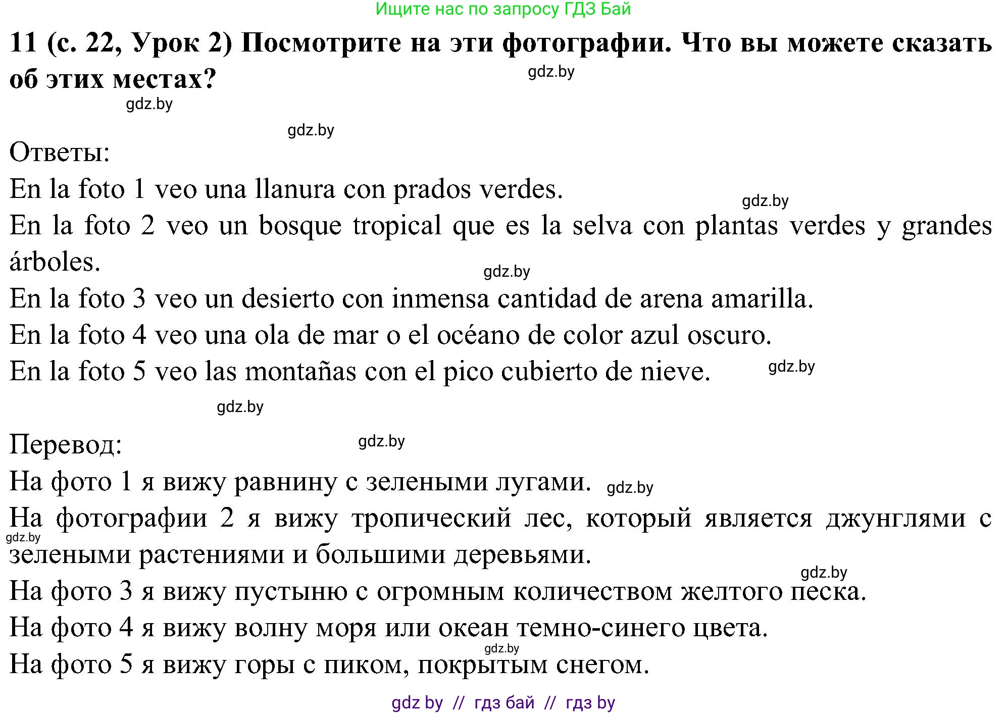 Испанский язык, 5 класс Учебник, авторы: Цыбулева Татьяна Эдуардовна, Пушкина Ольга Александровна, издательство Вышэйшая школа, Минск, 2017, оранжевого цвета, страница 22, номер 11, Решение