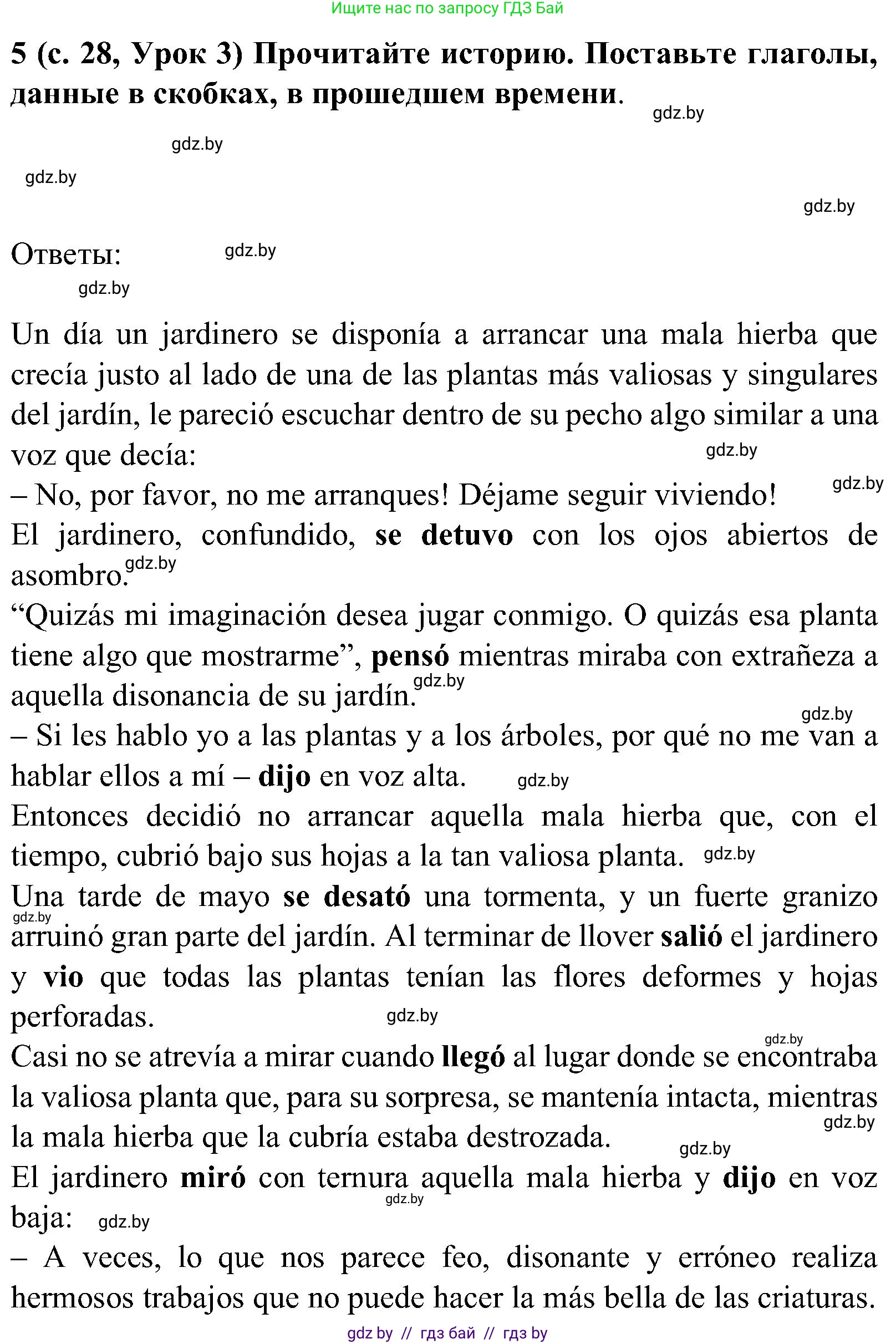 Испанский язык, 5 класс Учебник, авторы: Цыбулева Татьяна Эдуардовна, Пушкина Ольга Александровна, издательство Вышэйшая школа, Минск, 2017, оранжевого цвета, страница 28, номер 5, Решение