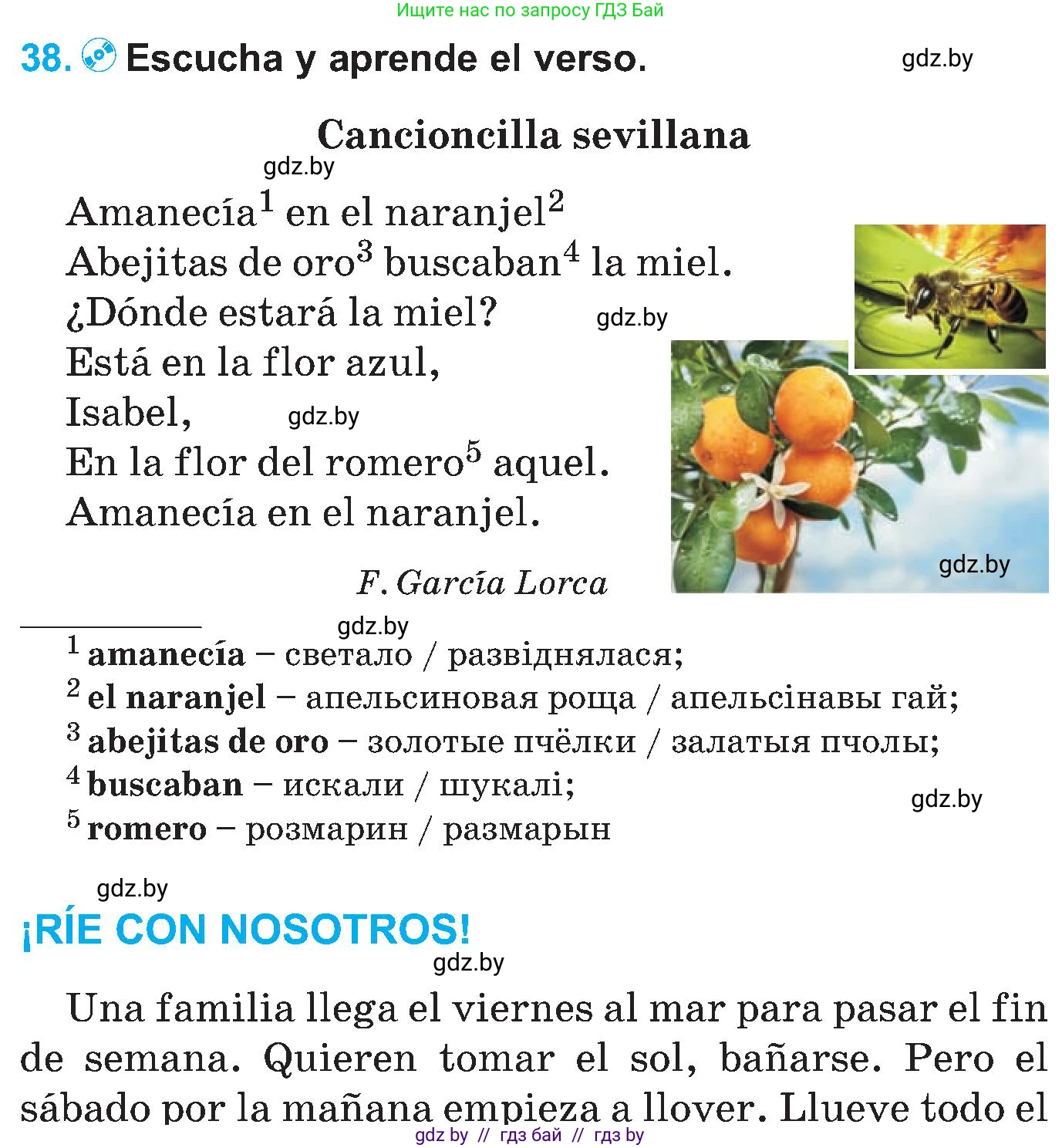 Испанский язык, 5 класс Учебник, автор: Гриневич Елена Карловна, издательство Вышэйшая школа, Минск, 2015, оранжевого цвета, Часть 1, страница 43, номер 38, Условие