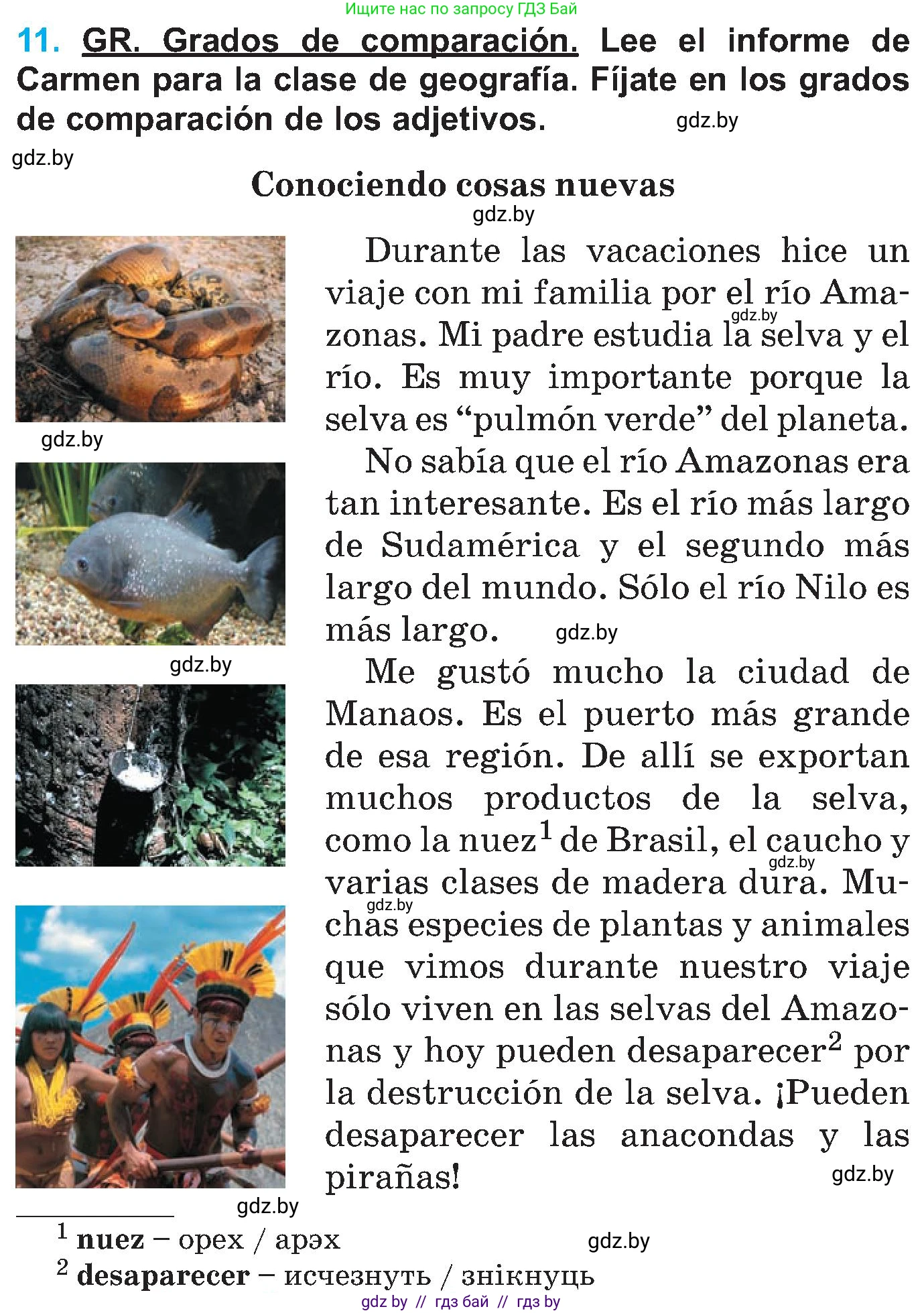 Испанский язык, 5 класс Учебник, автор: Гриневич Елена Карловна, издательство Вышэйшая школа, Минск, 2015, оранжевого цвета, Часть 1, страница 118, номер 11, Условие