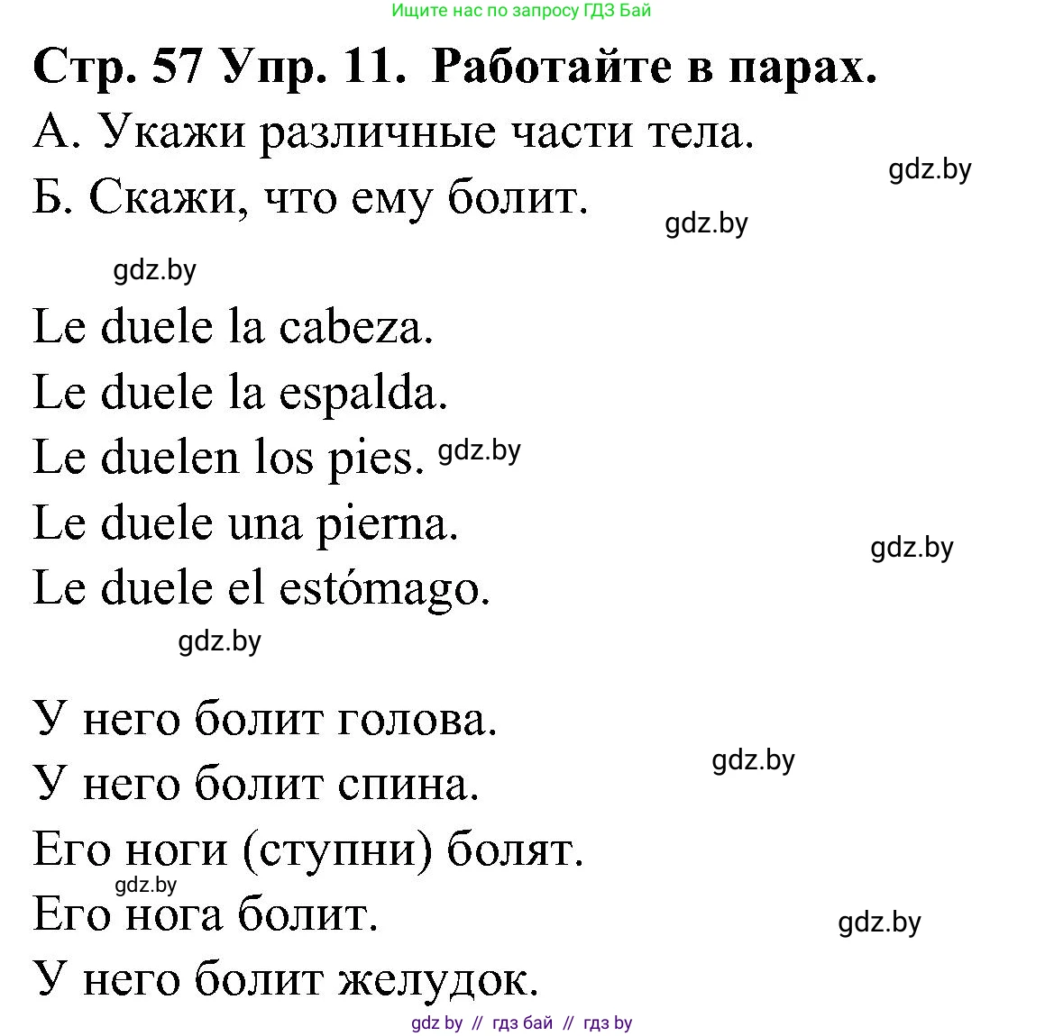 Испанский язык, 5 класс Учебник, автор: Гриневич Елена Карловна, издательство Вышэйшая школа, Минск, 2015, оранжевого цвета, Часть 2, страница 57, номер 11, Решение