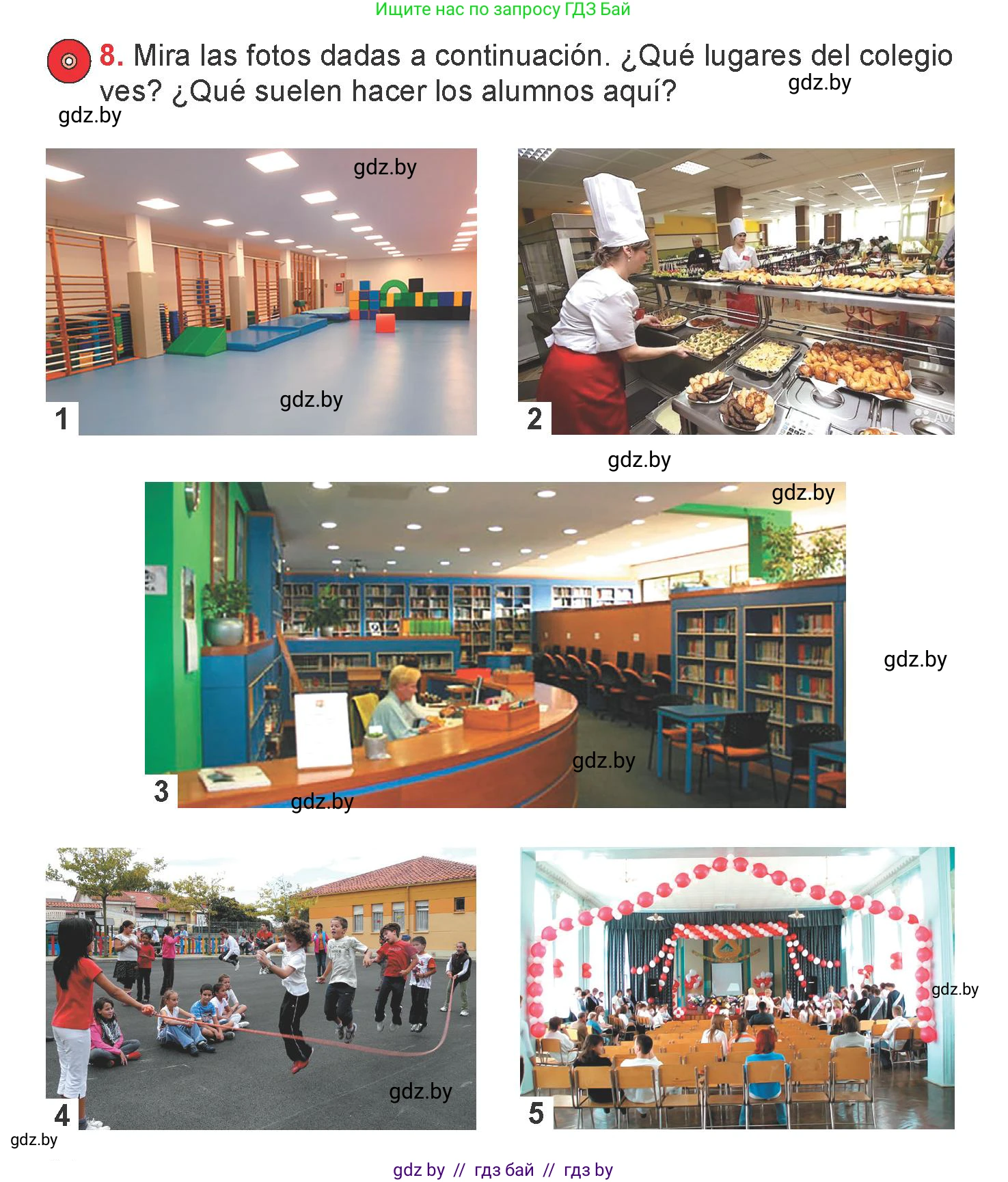 Испанский язык, 6 класс Учебник, авторы: Цыбулева Татьяна Эдуардовна, Пушкина Ольга Александровна, издательство Издательский центр БГУ, Минск, 2018, Часть 1, страница 24, номер 8, Условие