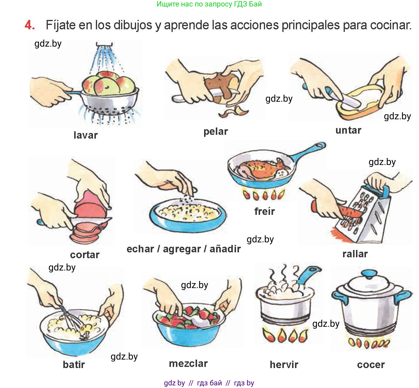 Испанский язык, 6 класс Учебник, авторы: Цыбулева Татьяна Эдуардовна, Пушкина Ольга Александровна, издательство Издательский центр БГУ, Минск, 2018, Часть 2, страница 36, номер 4, Условие