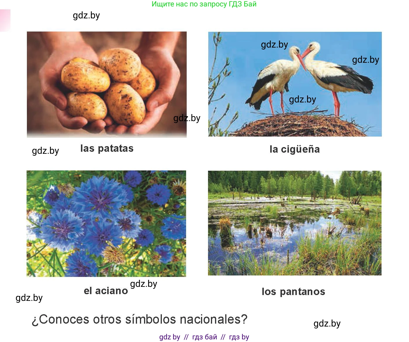 Испанский язык, 6 класс Учебник, авторы: Цыбулева Татьяна Эдуардовна, Пушкина Ольга Александровна, издательство Издательский центр БГУ, Минск, 2018, Часть 2, страница 93, номер 1, Условие (продолжение 2)