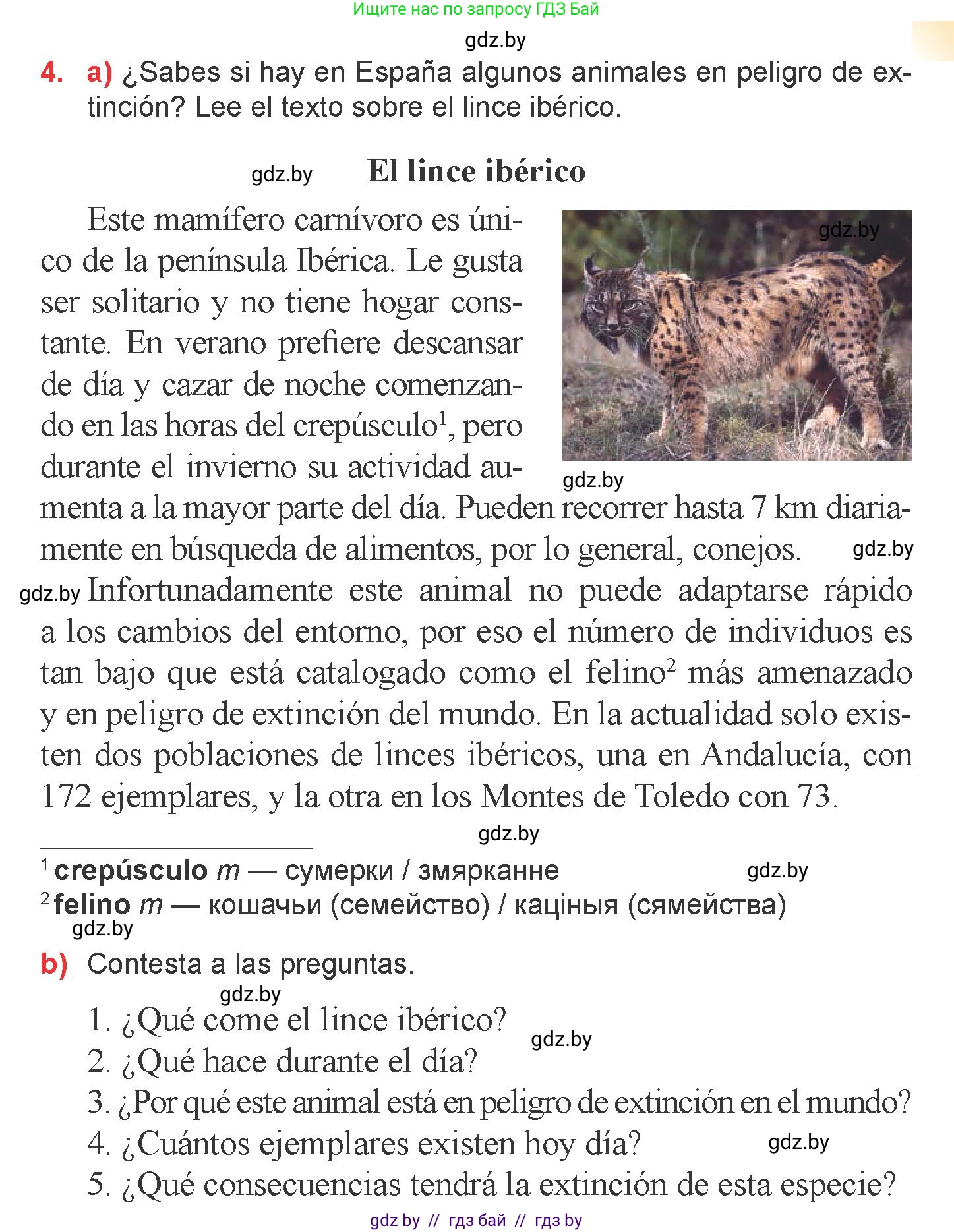 Испанский язык, 6 класс Учебник, авторы: Цыбулева Татьяна Эдуардовна, Пушкина Ольга Александровна, издательство Издательский центр БГУ, Минск, 2018, Часть 2, страница 127, номер 4, Условие