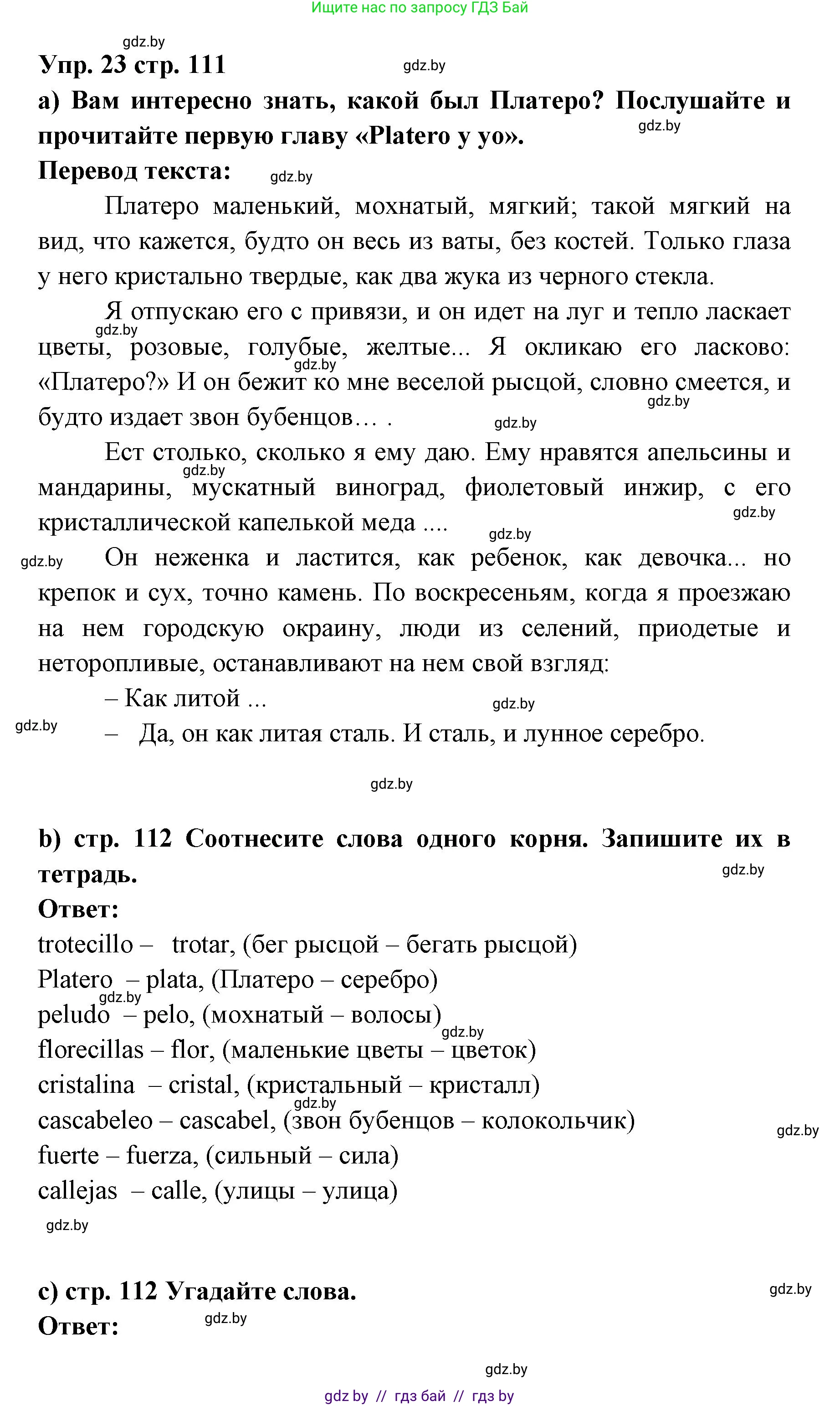 Испанский язык, 6 класс Учебник, авторы: Цыбулева Татьяна Эдуардовна, Пушкина Ольга Александровна, издательство Издательский центр БГУ, Минск, 2018, Часть 1, страница 111, номер 23, Решение