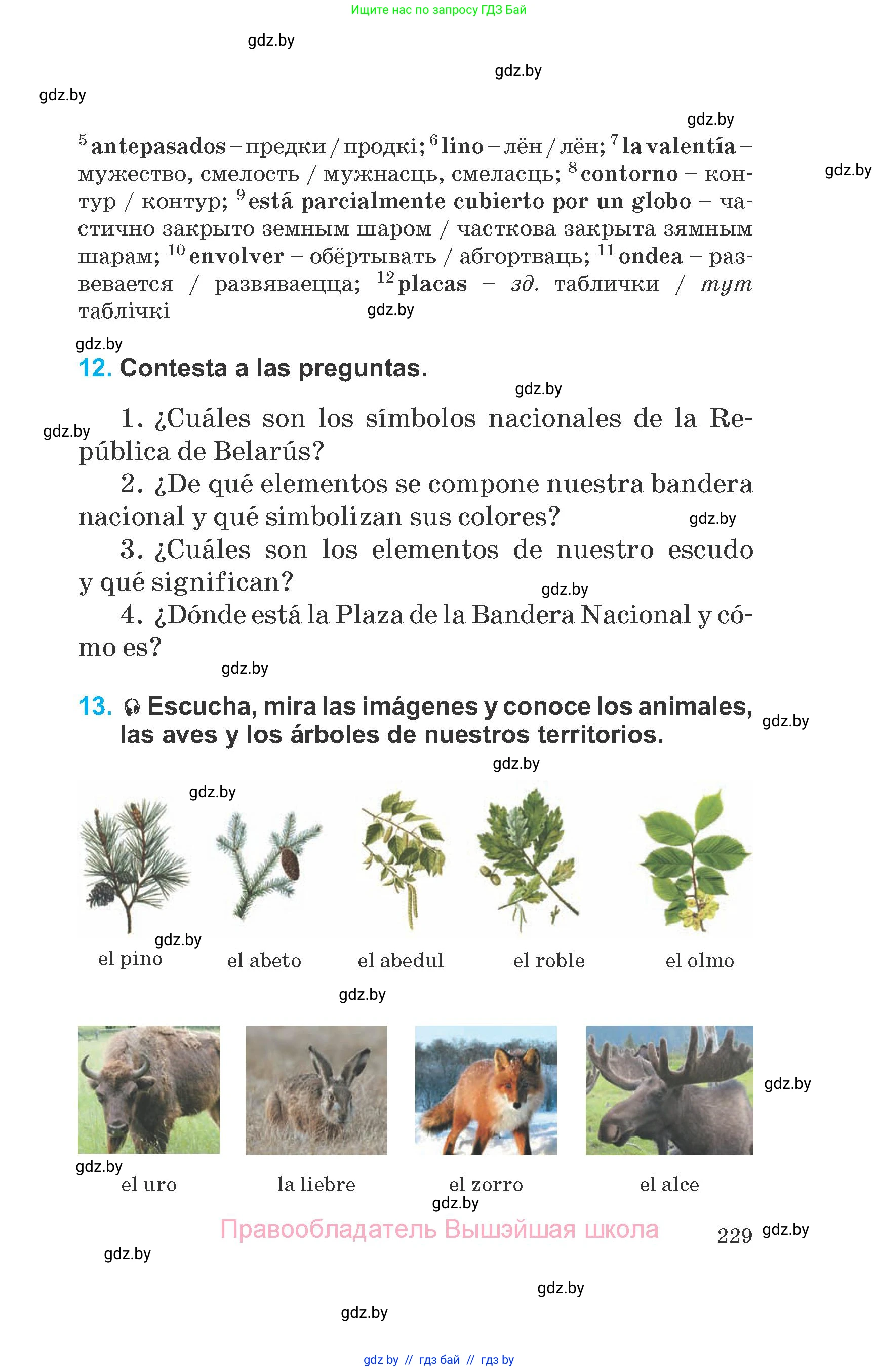 Испанский язык, 6 класс Учебник, автор: Гриневич Елена Карловна, издательство Вышэйшая школа, Минск, 2016, зелёного цвета, страница 229