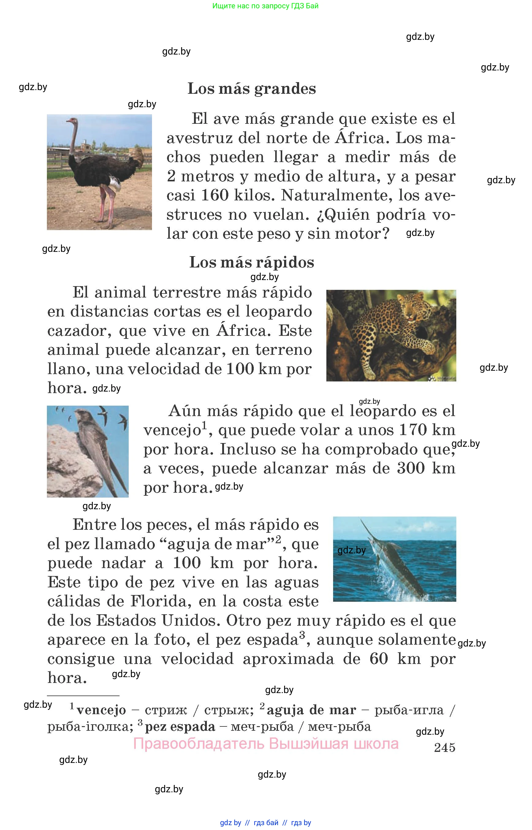 Испанский язык, 6 класс Учебник, автор: Гриневич Елена Карловна, издательство Вышэйшая школа, Минск, 2016, зелёного цвета, страница 245