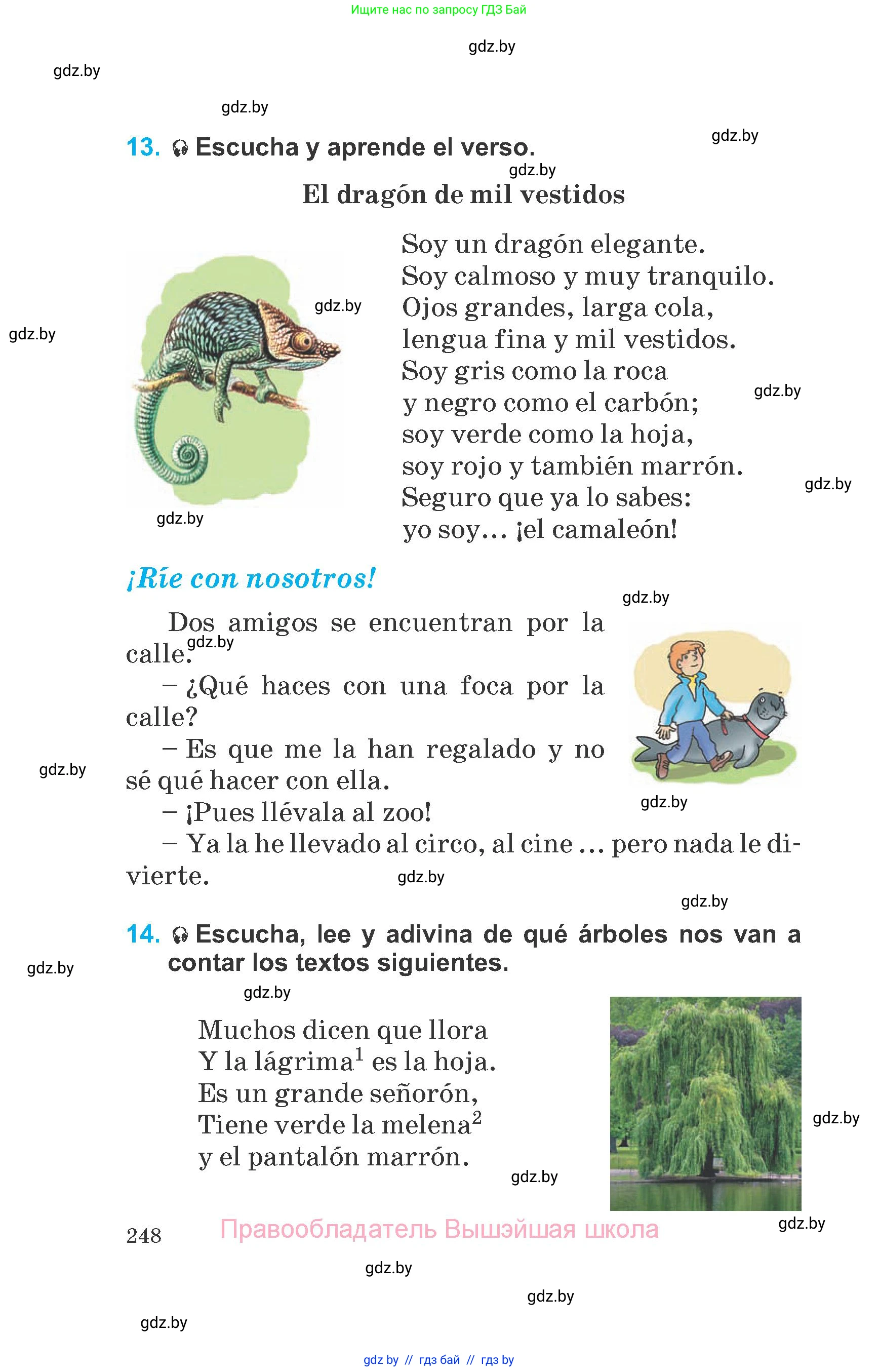 Испанский язык, 6 класс Учебник, автор: Гриневич Елена Карловна, издательство Вышэйшая школа, Минск, 2016, зелёного цвета, страница 248
