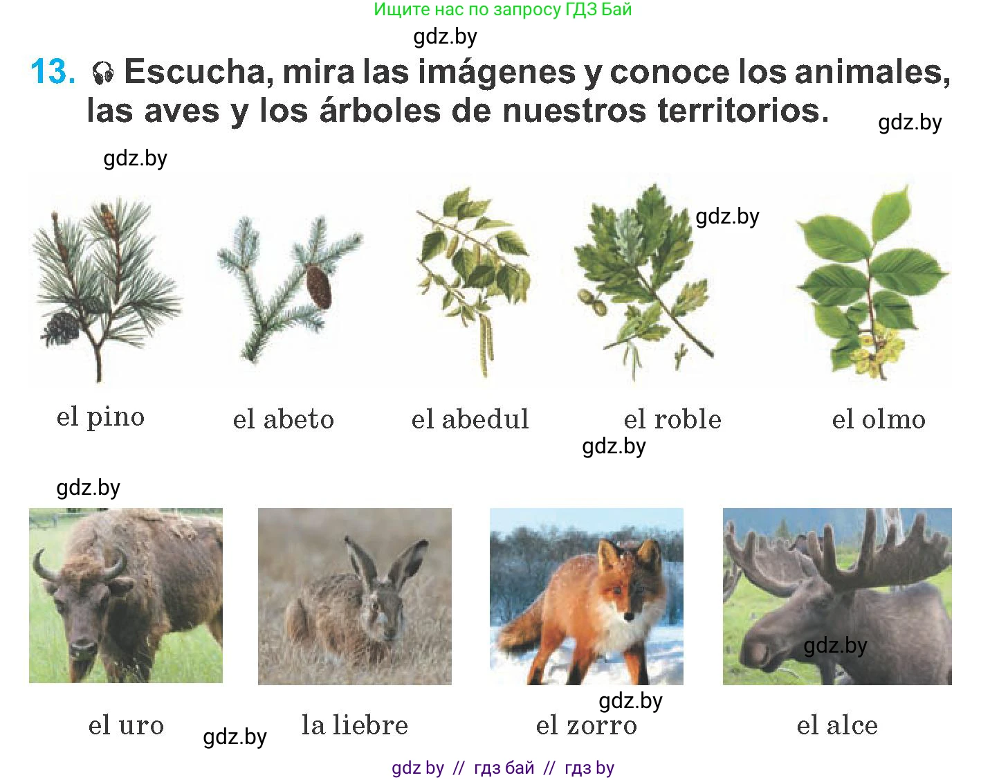 Испанский язык, 6 класс Учебник, автор: Гриневич Елена Карловна, издательство Вышэйшая школа, Минск, 2016, зелёного цвета, страница 229, номер 13, Условие