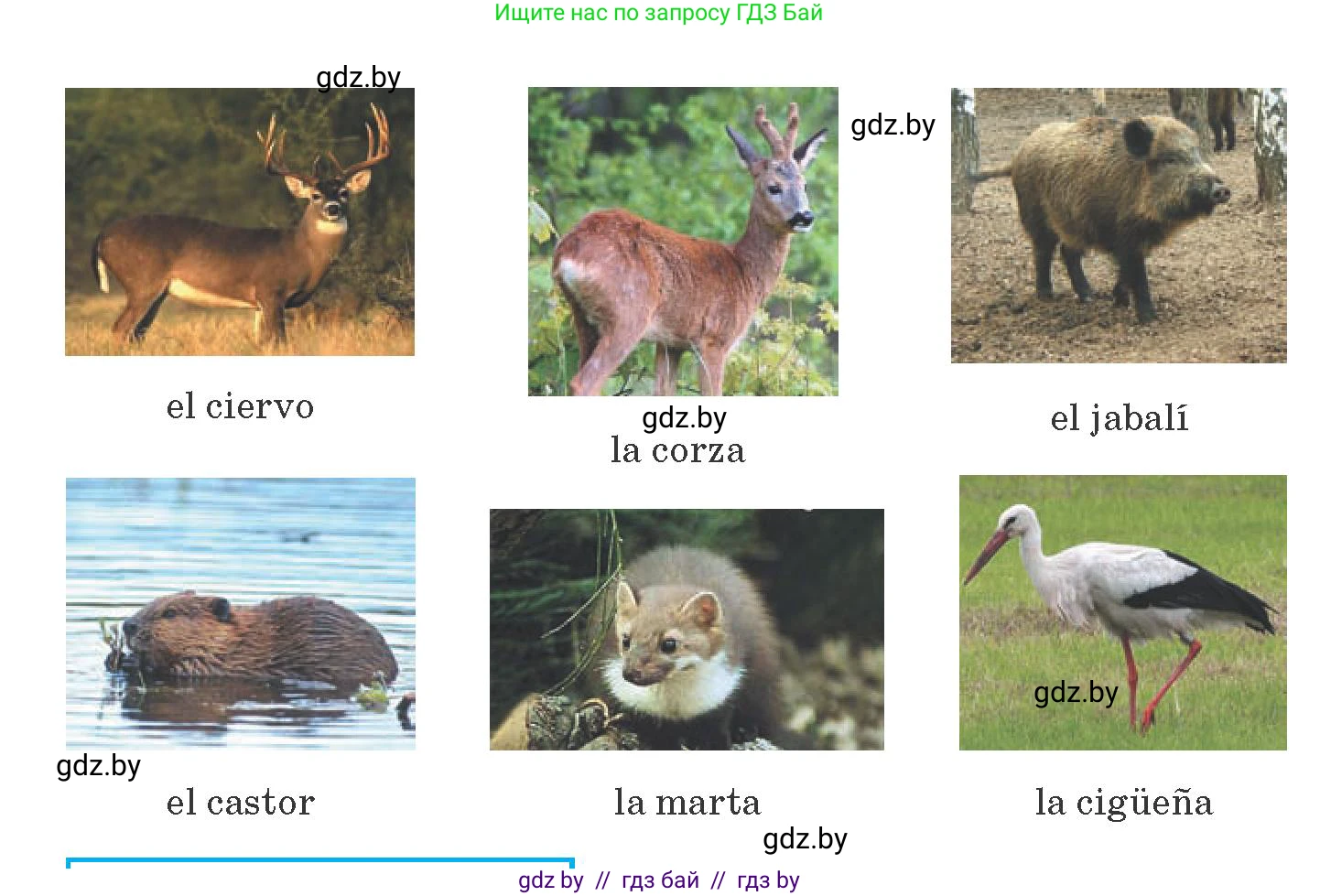 Испанский язык, 6 класс Учебник, автор: Гриневич Елена Карловна, издательство Вышэйшая школа, Минск, 2016, зелёного цвета, страница 229, номер 13, Условие (продолжение 2)