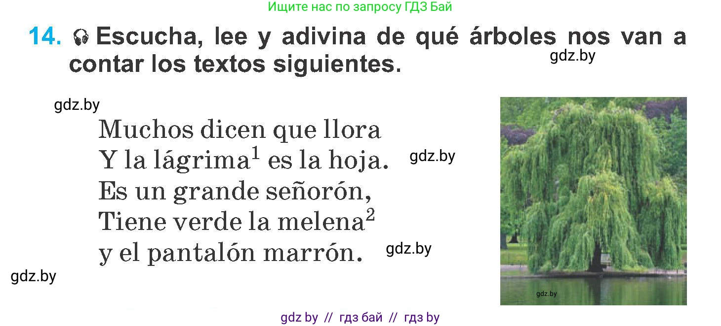 Испанский язык, 6 класс Учебник, автор: Гриневич Елена Карловна, издательство Вышэйшая школа, Минск, 2016, зелёного цвета, страница 248, номер 14, Условие