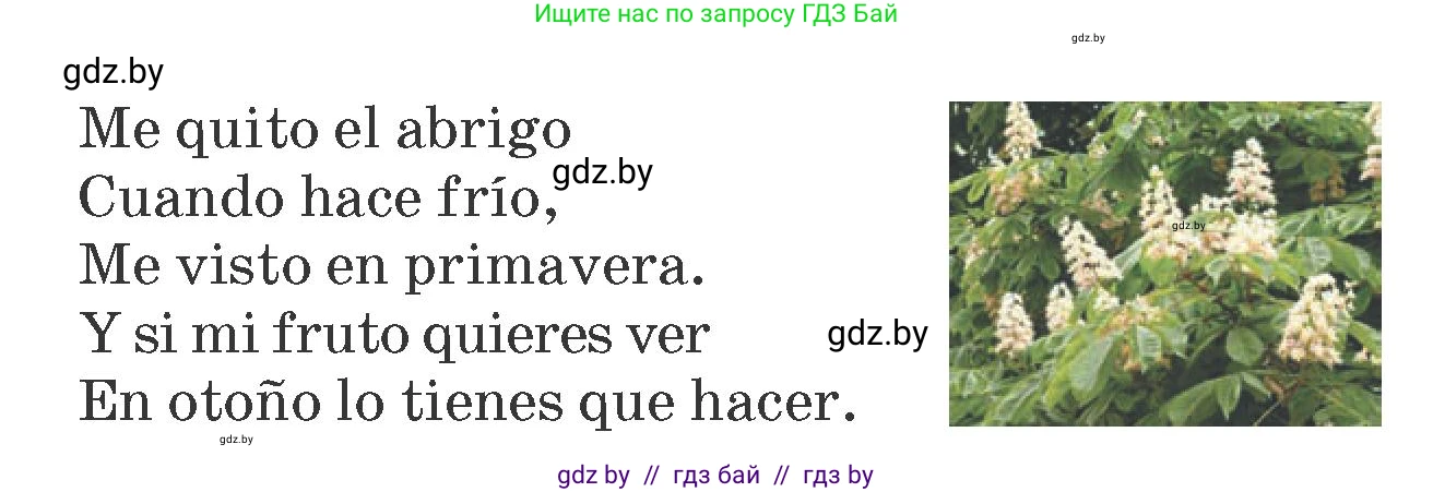 Испанский язык, 6 класс Учебник, автор: Гриневич Елена Карловна, издательство Вышэйшая школа, Минск, 2016, зелёного цвета, страница 248, номер 14, Условие (продолжение 2)