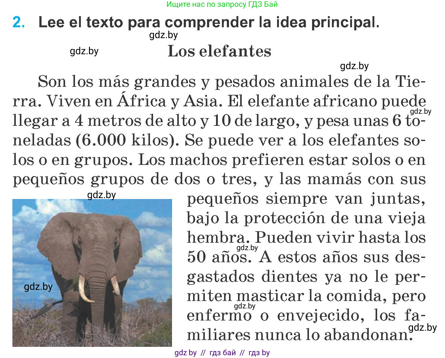 Испанский язык, 6 класс Учебник, автор: Гриневич Елена Карловна, издательство Вышэйшая школа, Минск, 2016, зелёного цвета, страница 240, номер 2, Условие