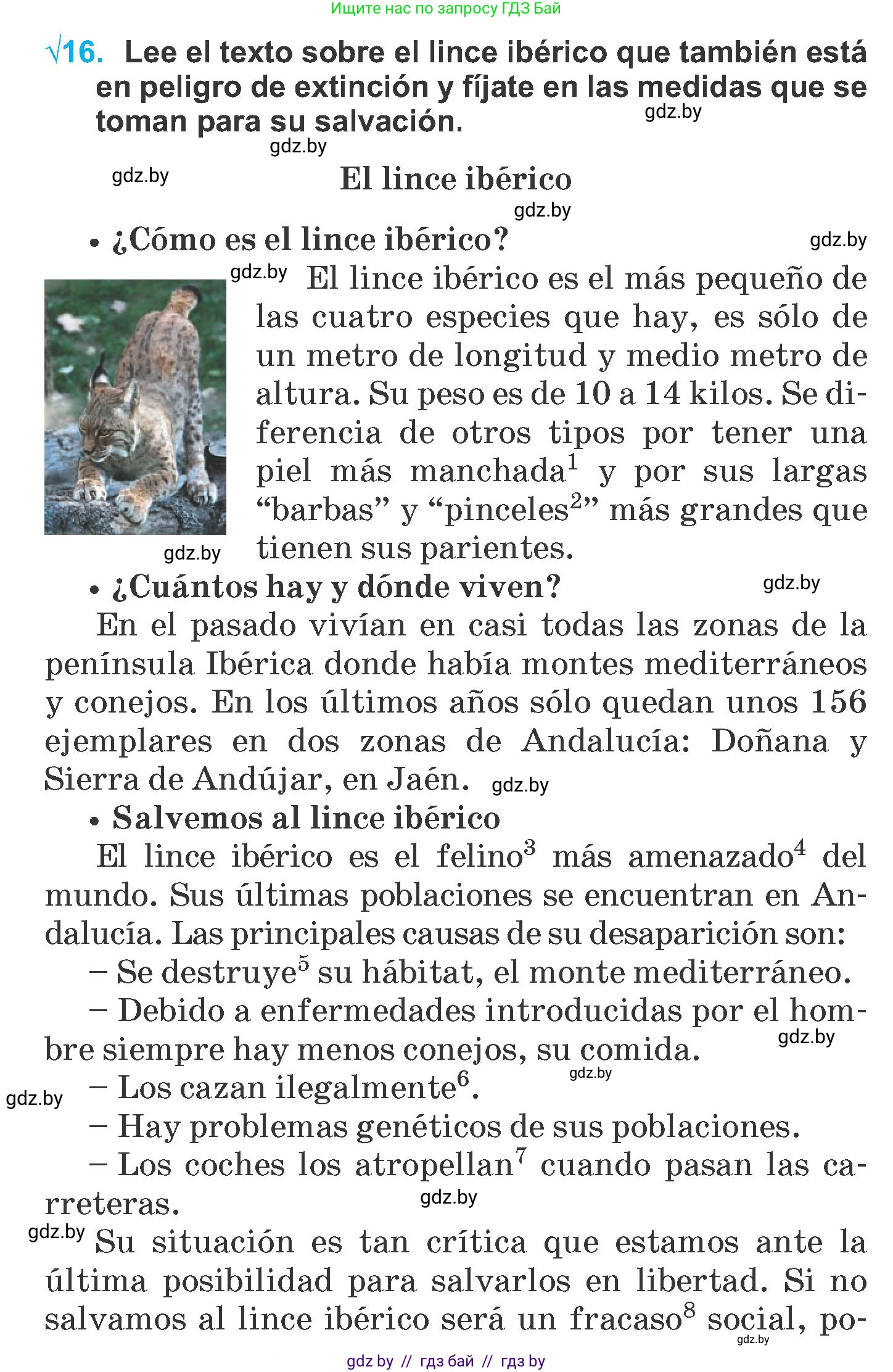 Испанский язык, 6 класс Учебник, автор: Гриневич Елена Карловна, издательство Вышэйшая школа, Минск, 2016, зелёного цвета, страница 262, номер 16, Условие