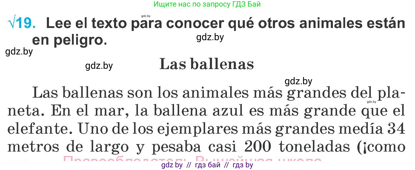 Испанский язык, 6 класс Учебник, автор: Гриневич Елена Карловна, издательство Вышэйшая школа, Минск, 2016, зелёного цвета, страница 264, номер 19, Условие