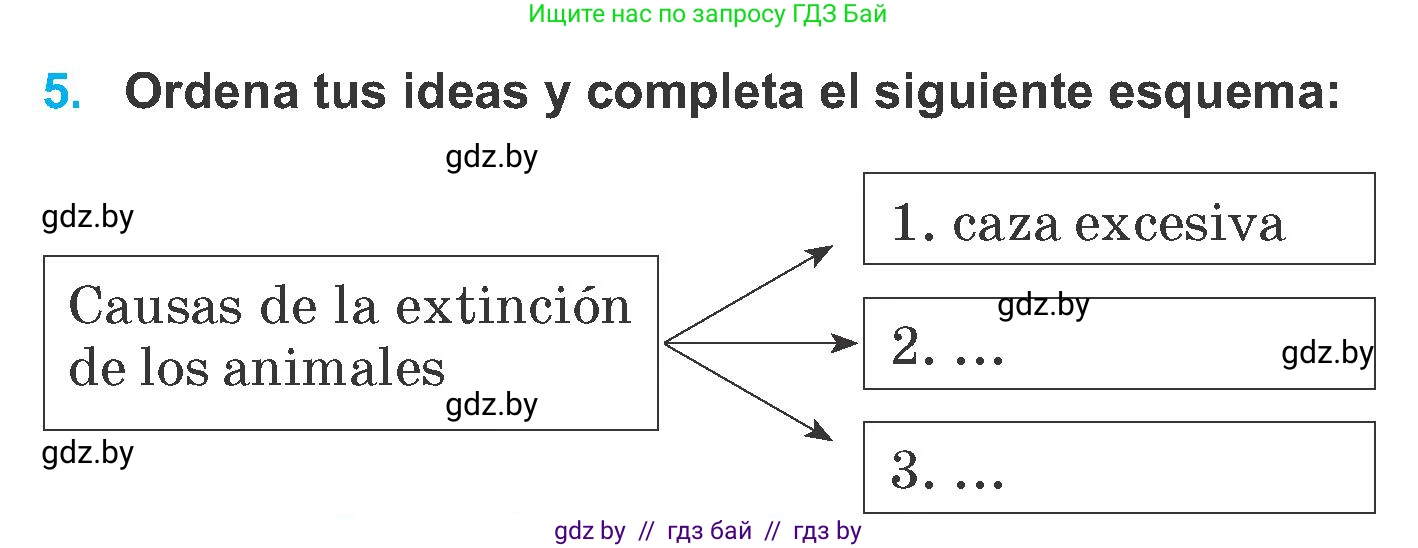 Испанский язык, 6 класс Учебник, автор: Гриневич Елена Карловна, издательство Вышэйшая школа, Минск, 2016, зелёного цвета, страница 255, номер 5, Условие