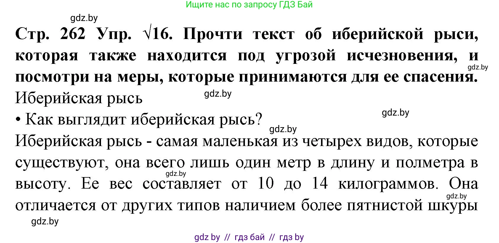 Испанский язык, 6 класс Учебник, автор: Гриневич Елена Карловна, издательство Вышэйшая школа, Минск, 2016, зелёного цвета, страница 262, номер 16, Решение