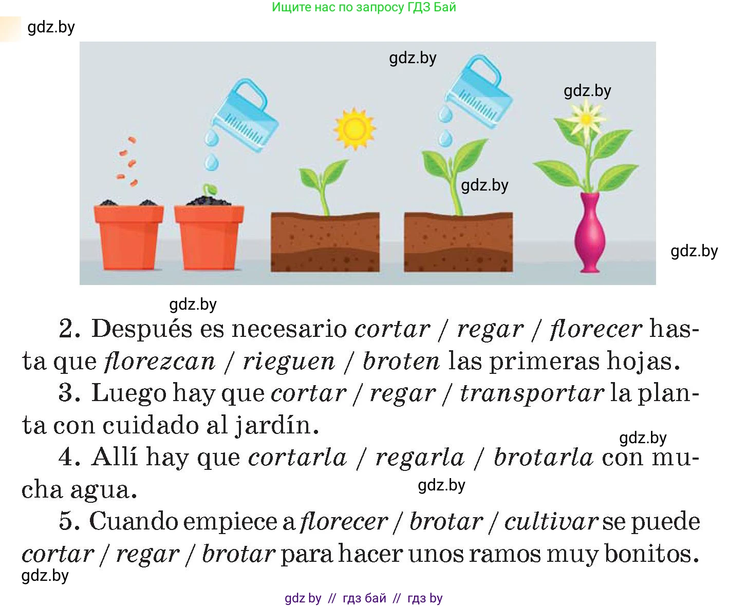Испанский язык, 7 класс Учебник, авторы: Цыбулева Татьяна Эдуардовна, Пушкина Ольга Александровна, Карпиевич Галина Константиновна, издательство Издательский центр БГУ, Минск, 2019, бирюзового цвета, Часть 2, страница 131, номер 8, Условие (продолжение 2)