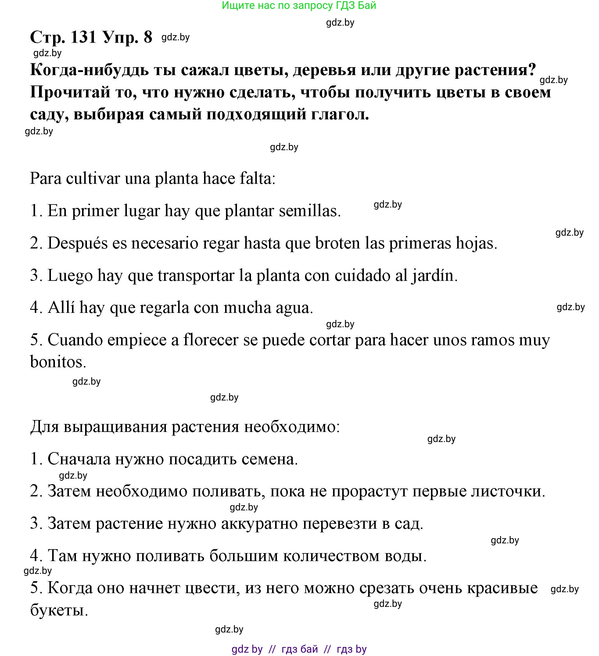 Испанский язык, 7 класс Учебник, авторы: Цыбулева Татьяна Эдуардовна, Пушкина Ольга Александровна, Карпиевич Галина Константиновна, издательство Издательский центр БГУ, Минск, 2019, бирюзового цвета, Часть 2, страница 131, номер 8, Решение