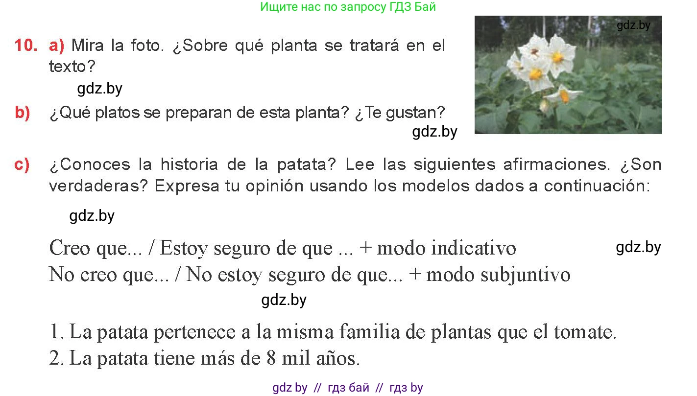 Испанский язык, 8 класс Учебник, авторы: Цыбулева Татьяна Эдуардовна, Пушкина Ольга Александровна, издательство Издательский центр БГУ, Минск, 2016, оранжевого цвета, страница 49, номер 10, Условие