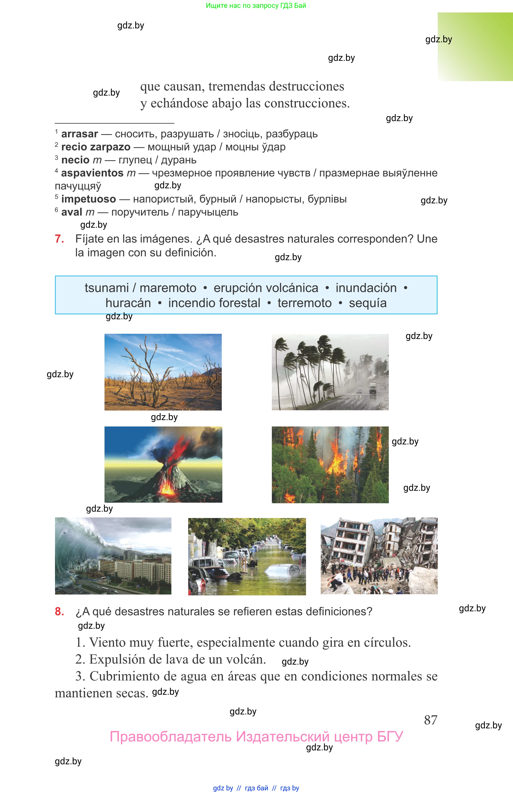 Испанский язык, 9 класс Учебник, авторы: Цыбулева Татьяна Эдуардовна, Пушкина Ольга Александровна, издательство Издательский центр БГУ, Минск, 2017, страница 87