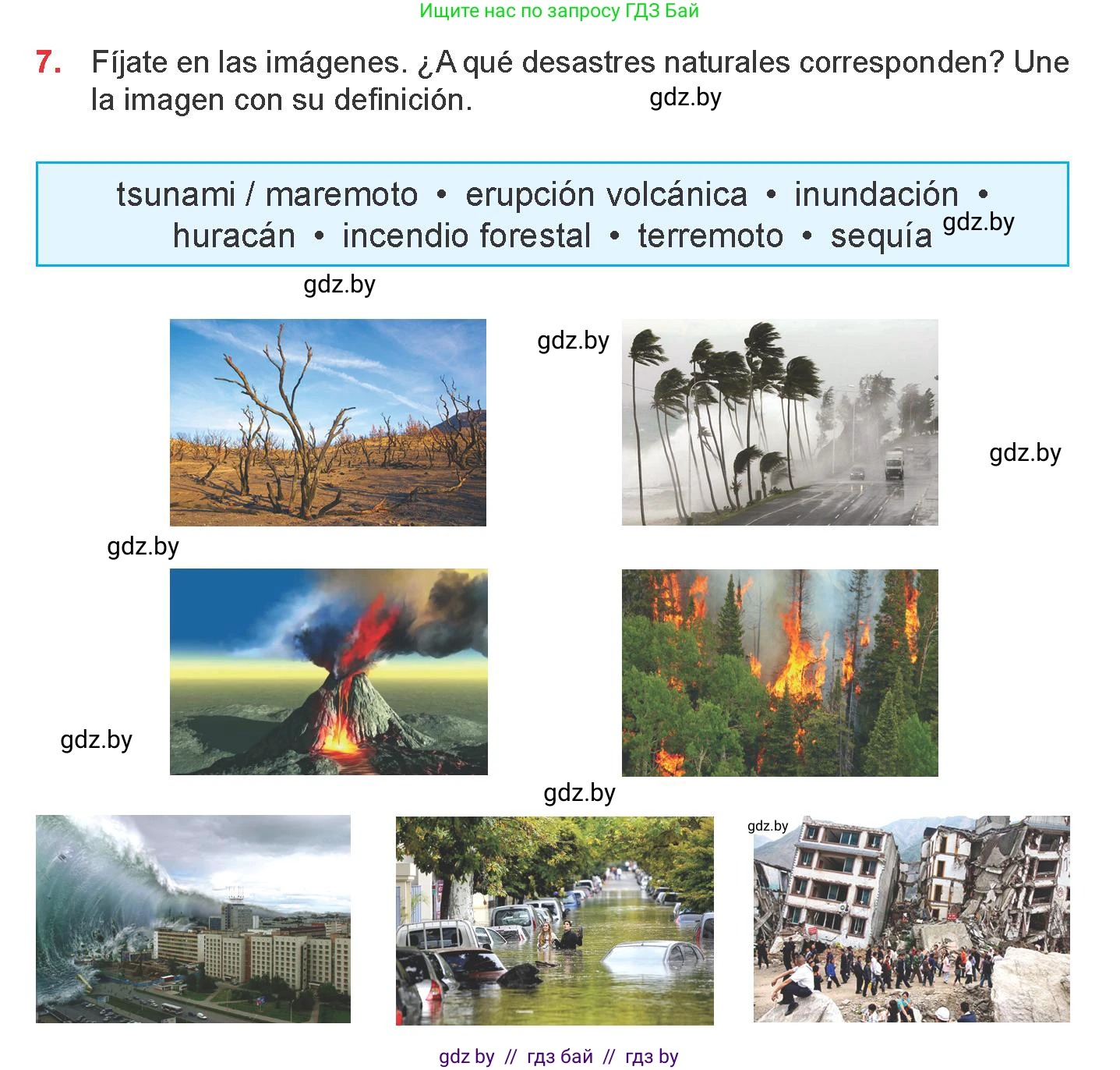 Испанский язык, 9 класс Учебник, авторы: Цыбулева Татьяна Эдуардовна, Пушкина Ольга Александровна, издательство Издательский центр БГУ, Минск, 2017, страница 87, номер 7, Условие