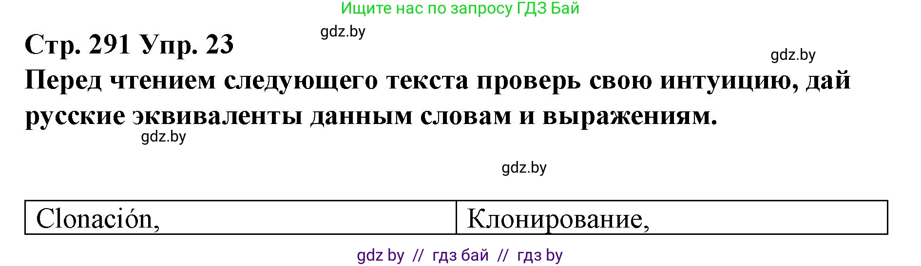 Испанский язык, 10 класс Учебник, авторы: Гриневич Елена Карловна, Янукенас Ольга Викторовна, издательство Вышэйшая школа, Минск, 2019, оранжевого цвета, страница 291, номер 23, Решение